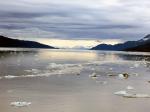 Prince William Sound 26 Glacier Cruise